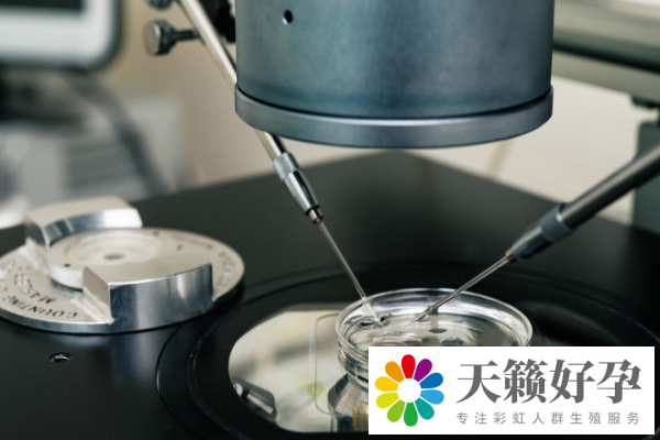 試管嬰兒費(fèi)用為什么每個(gè)人不一樣