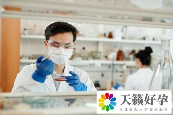 10個人做試管幾個能成功