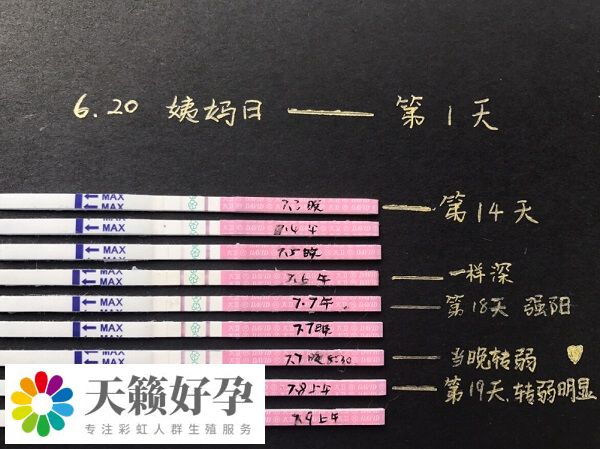 排卵試紙最好在月經(jīng)結(jié)束一周后使用
