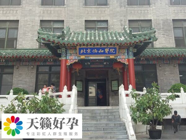 北京協(xié)和試管雙胞胎促排卵費(fèi)用約4.5-6.5千元
