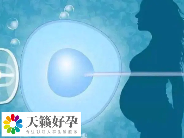 國內(nèi)禁止單身試管嬰兒實(shí)施