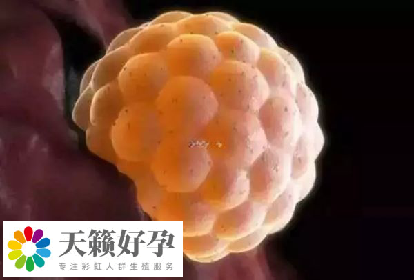 單身試管生育的孩子數(shù)量在逐年增加