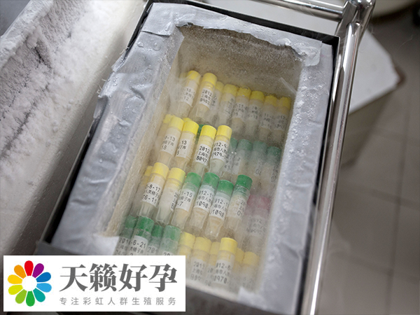 單身在國(guó)內(nèi)做試管不合法