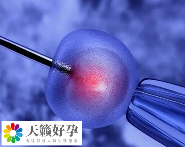 人工授精失敗轉(zhuǎn)試管要做手術(shù)