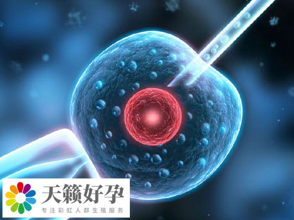 人工授精失敗轉試管必須要取卵