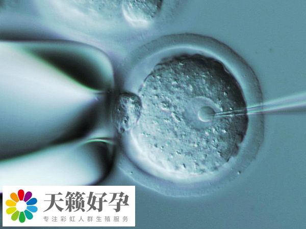 胚胎著床時(shí)間通常為7-14天