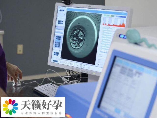 年齡是試管嬰兒成功與否的重要因素