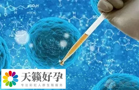 做試管嬰兒選擇醫院重要嗎，這幾點是必須要了解清楚