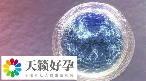 助孕機構做三代試管產子多少錢，費用清單新鮮出爐