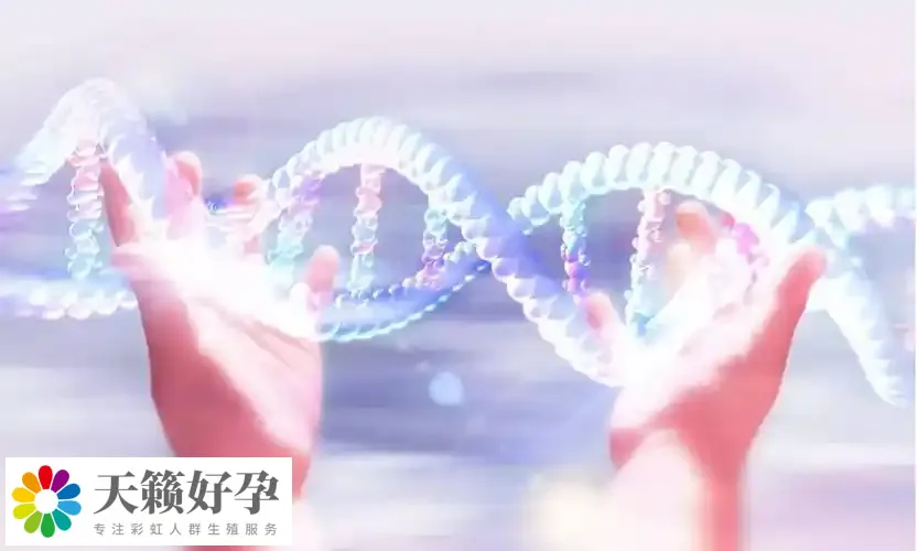倆個(gè)女人做試管采用什么方案?附女同廣州三代試管具體收費(fèi)標(biāo)準(zhǔn)