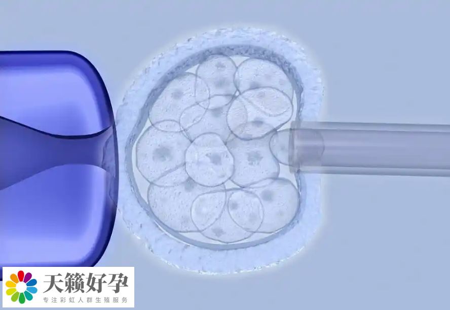 倆個(gè)女人做試管采用什么方案?附女同廣州三代試管具體收費(fèi)標(biāo)準(zhǔn)