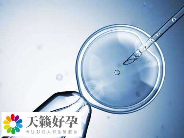 試管治療嘗試次數(shù)越多成功率也不一定高