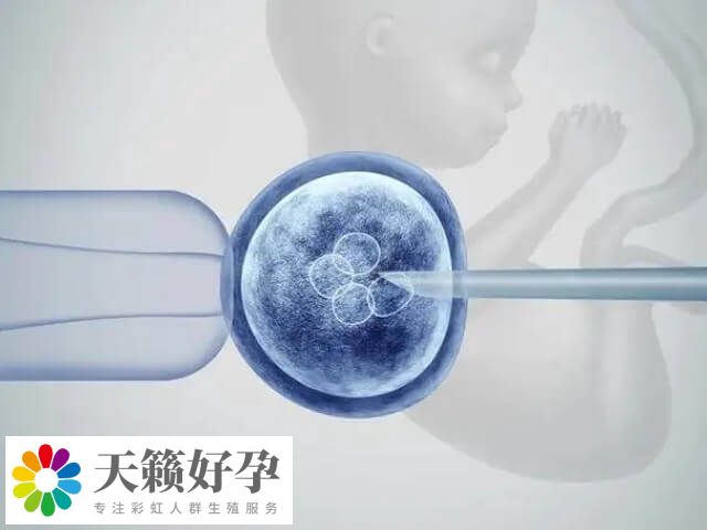 試管嬰兒的次數(shù)在理論上沒有嚴(yán)格的限制