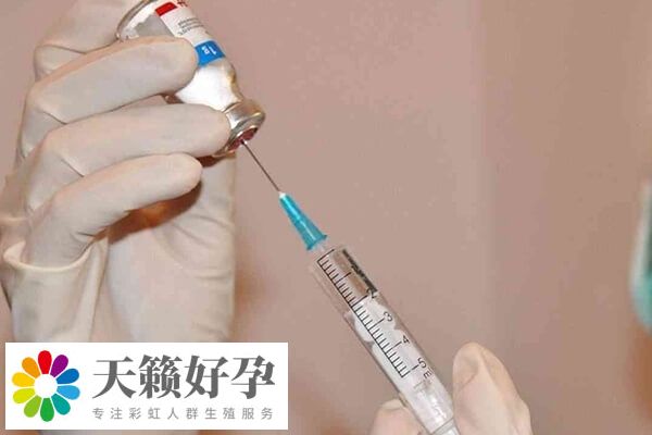 內分泌失調會影響卵泡發育