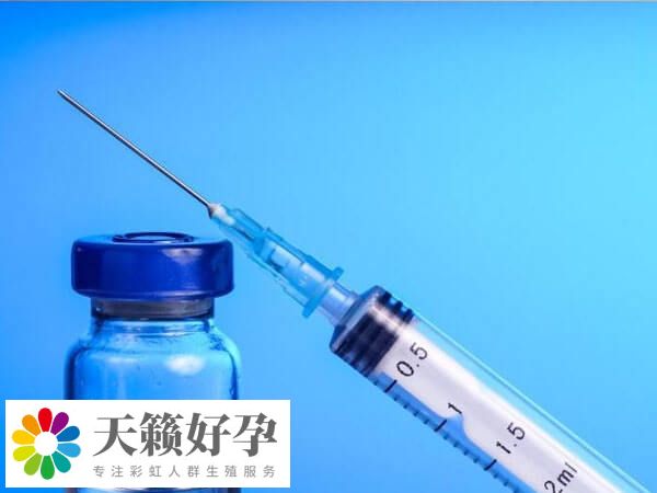 排卵針又稱為排卵誘導針或促排針
