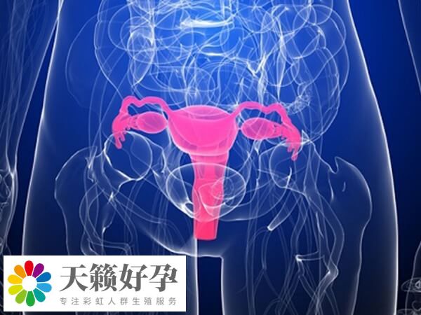 宮腔環(huán)境差會(huì)影響鮮胚移植著床率