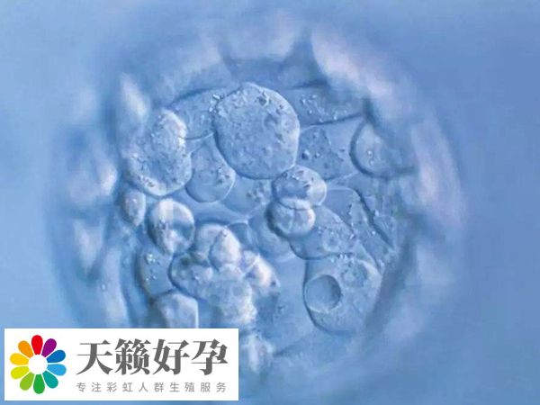 三級(jí)鮮胚質(zhì)量相對(duì)較差