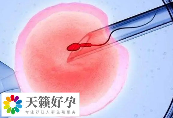 移植后個別人有身體反應