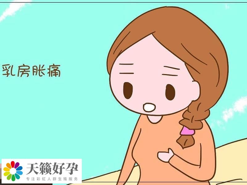 胚胎成功著床會引起胸脹痛