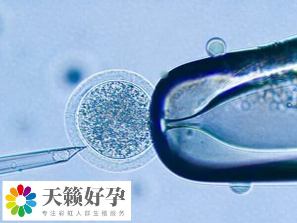 在試管促排中卵泡大小為27*21說明卵子質量好嗎？